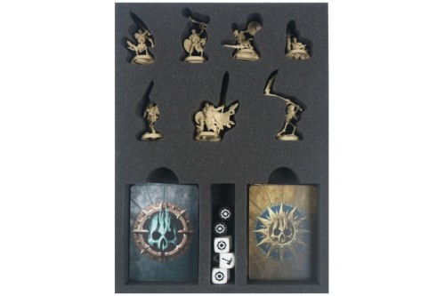 Foam tray for Sepulchral Guard.