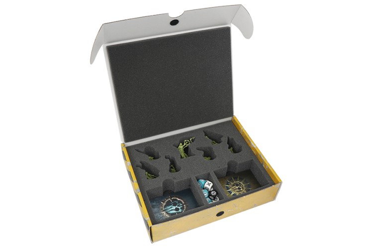 Box for Thorns of the Briar Queen.