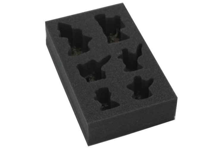 Foam tray for Grashrak’s Ravagers warband.