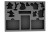 pianka_legion_0023.jpg