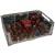 large tray minis 1.jpg