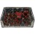large tray minis 4.jpg
